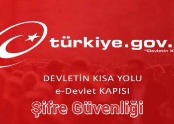 E devlet şifresi başkasının eline geçerse ne olur