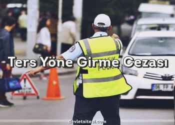 Ters yön cezası