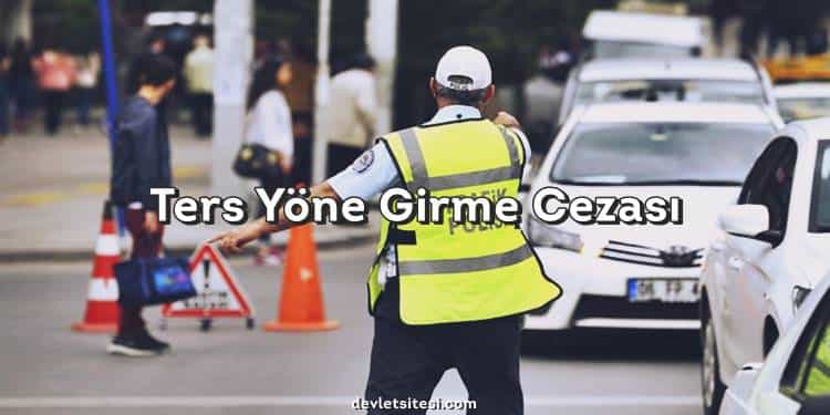 Ters yön cezası
