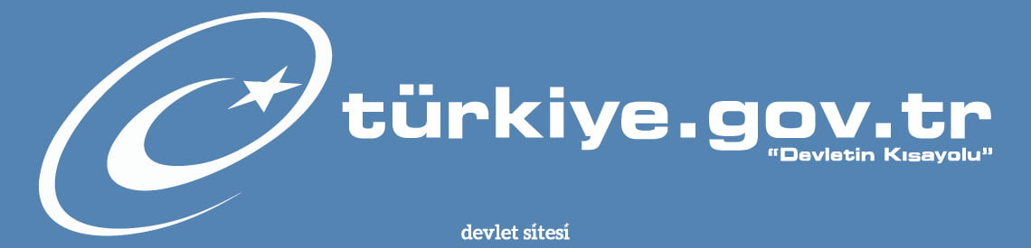 e Devlet Giriş