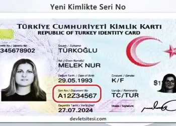 yeni kimlikte cilt no nerede yazar?