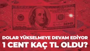 1 cent kaç tl