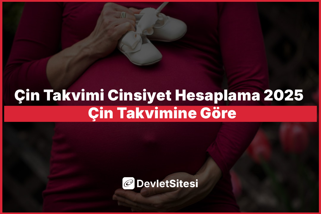 Çin Takvimi Cinsiyet Hesaplama 2025 – Çin Takvimine Göre